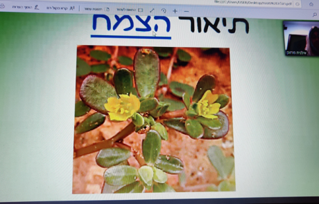 תלמידי בתי הספר היסודיים באשדוד הוזמנו להתנסות בזום במגוון פעילויות שהתקיימו בחווה החקלאית