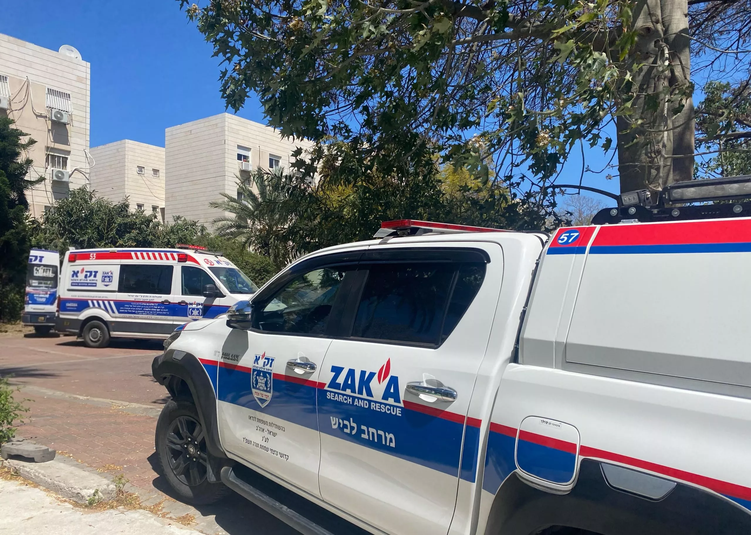 צילום: דוברות זק"א