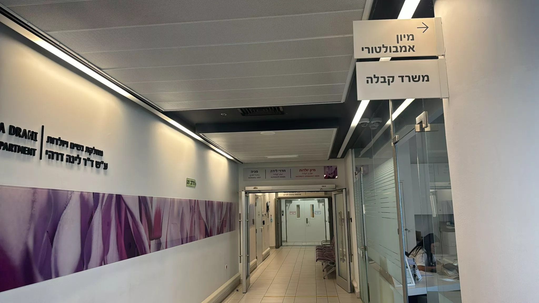 צילום: דוברות אסותא אשדוד