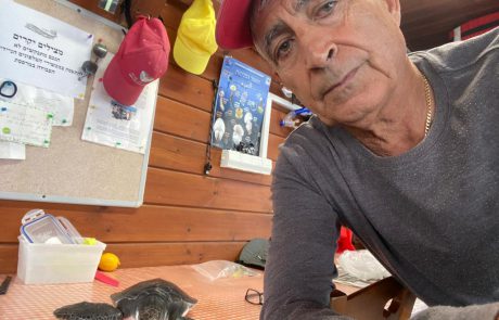 תושב העיר שטייל בחוף וראה צב שהסתבך בשק, הביא אותו למציל צ'ארלי וביחד הצילו אותו